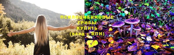 не бодяженный Алексин