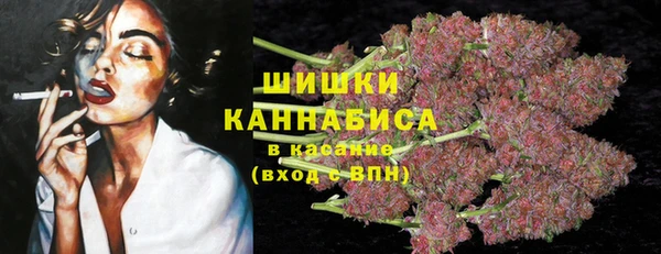 шишки Алзамай