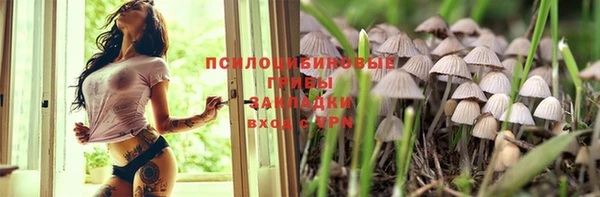 шишки Алзамай