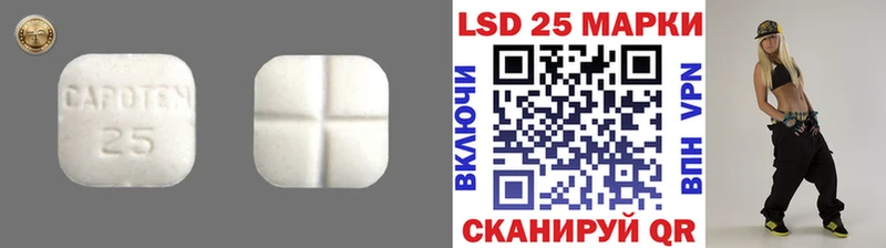 купить  цена  MEGA онион  Лсд 25 экстази кислота  Злынка 