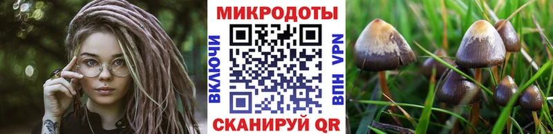 Галлюциногенные грибы MAGIC MUSHROOMS  Злынка 
